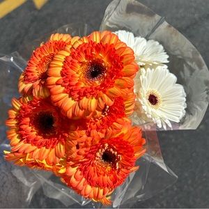 Meet your Posher, Athena